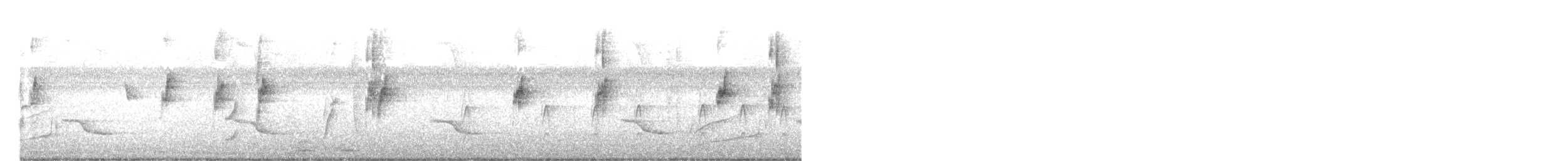 Venezüela Turpiyalı - ML647465140