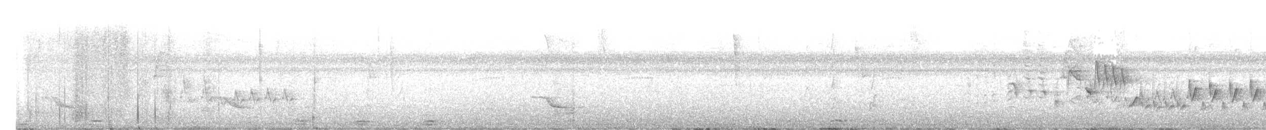 Venezüela Turpiyalı - ML647465142