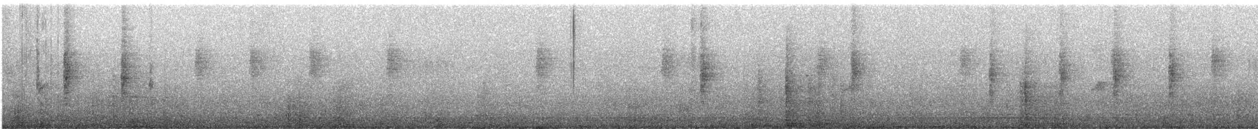 japansanger (cantans gr.) - ML647465970