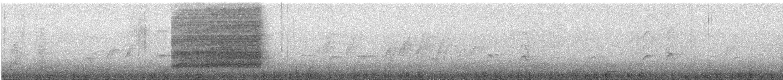 asurskjære (japonica) - ML647466106