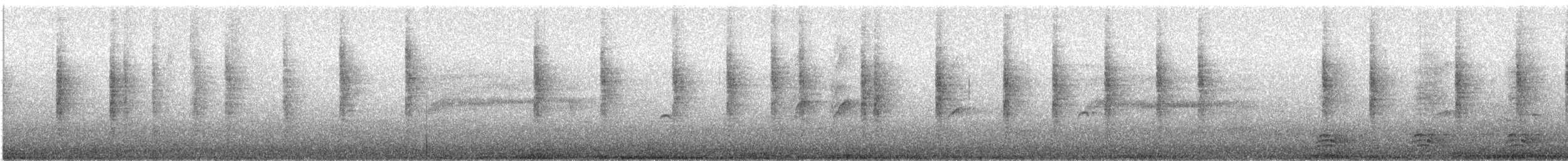 japansanger (cantans gr.) - ML647466160