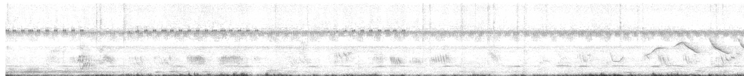 Small-headed Elaenia - ML647466464