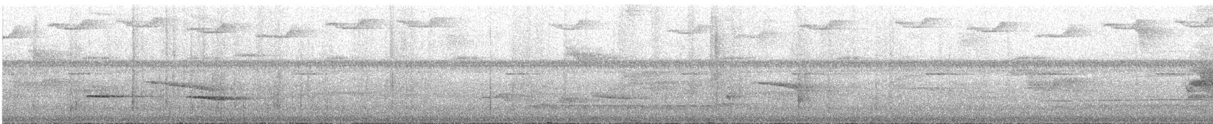 Chestnut-backed Antbird - ML647466524