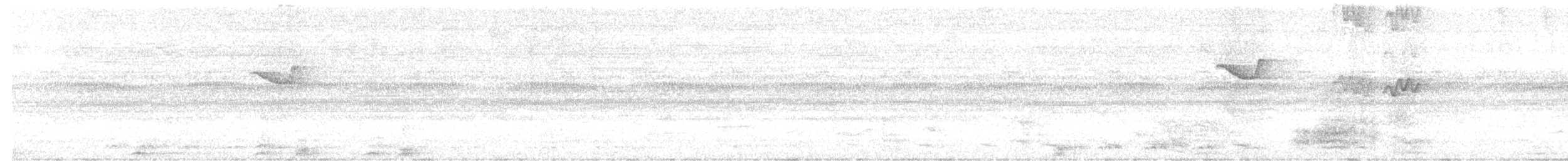 sojka azurová - ML647466533