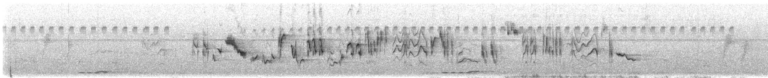 zvonohlík proužkovaný - ML647467643