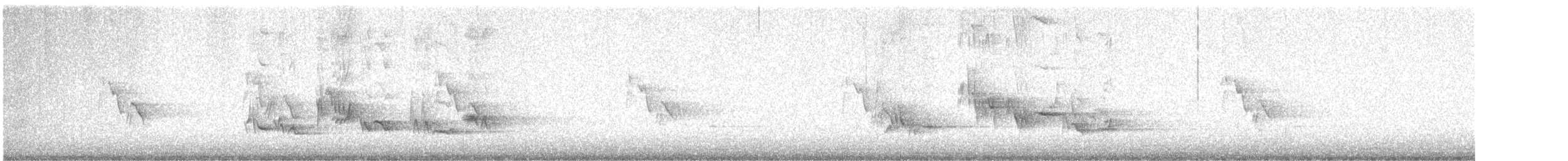 lesňák západní - ML647467705