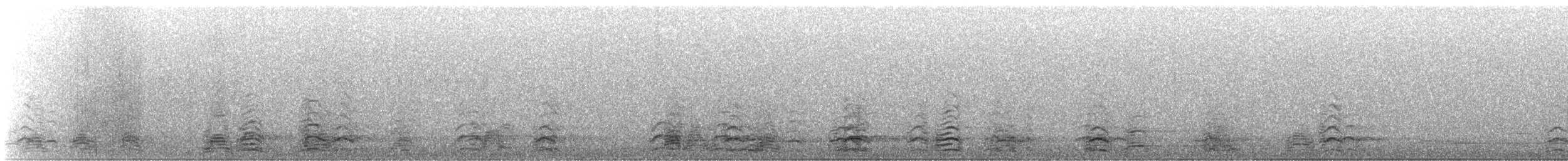 Snow Goose - ML647467829