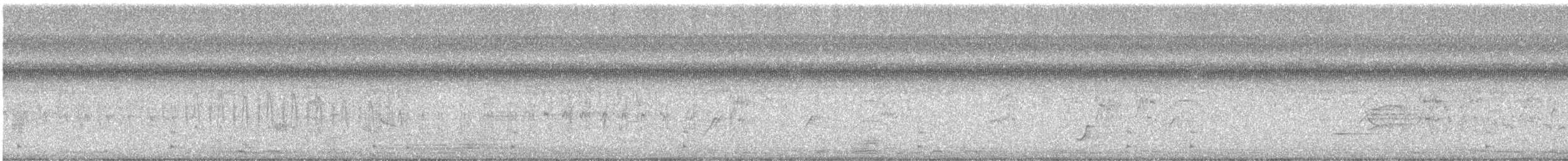 Gray Hawk - ML647468410