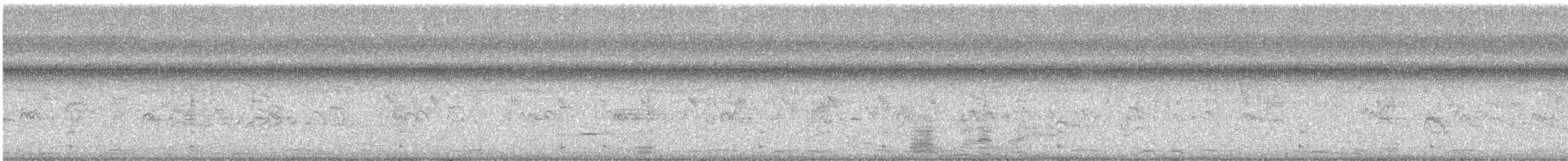 Gray Hawk - ML647468413