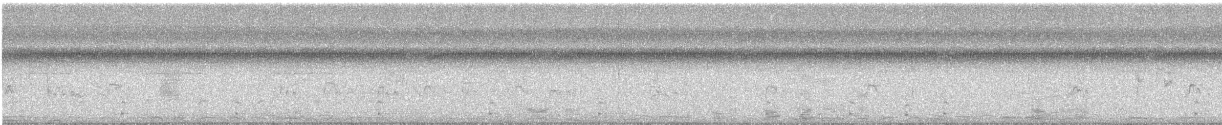 Gray Hawk - ML647468414