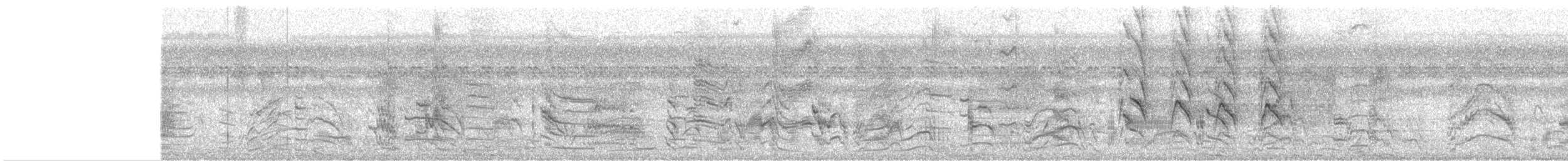 halsbåndparakitt - ML647469170