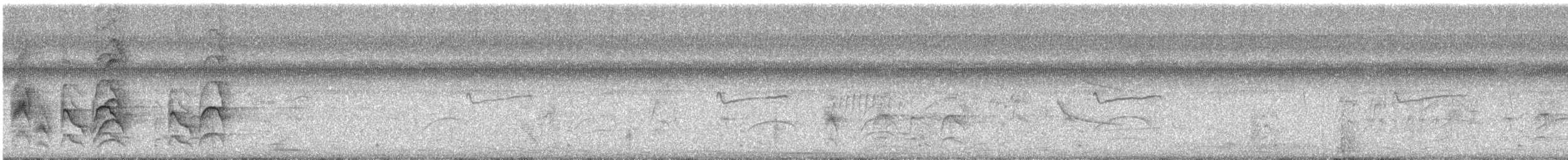 Ringed Kingfisher - ML647469354