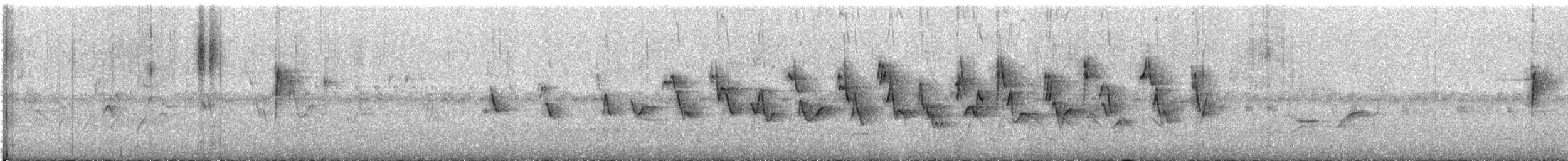 Değişken Renkli Çinte - ML647469540