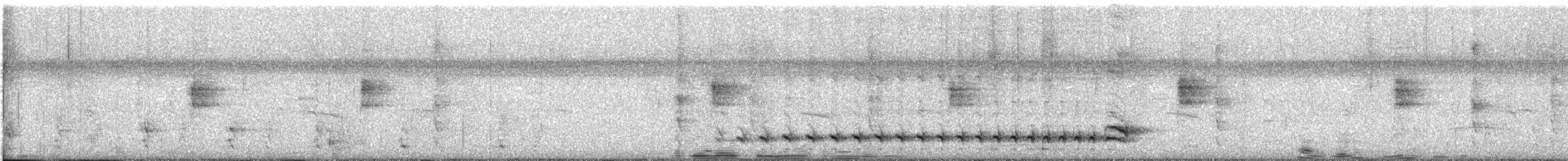 Bindenameisenwürger [doliatus-Gruppe] - ML647470692