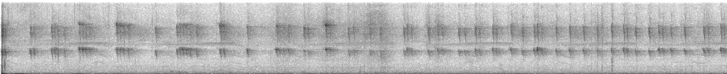 Wedge-tailed Sabrewing - ML647470716