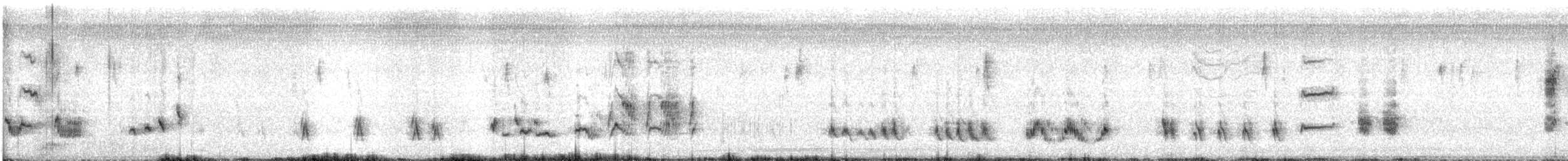 Northern Mockingbird - ML647470812