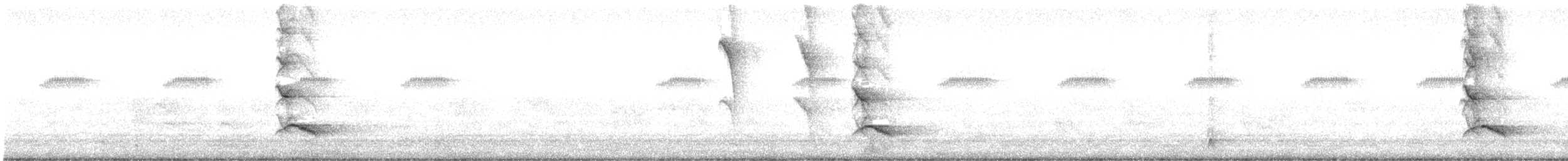 Creamy-bellied Thrush - ML647470838