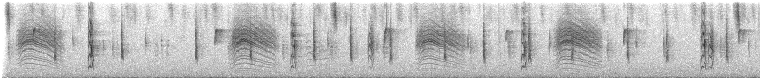 Black-capped Gnatcatcher - ML647471480