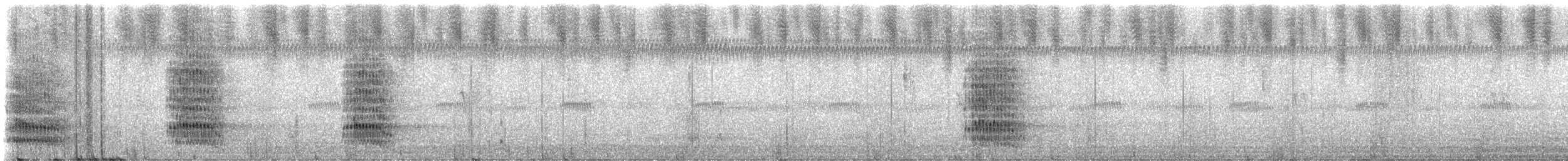 Urraca Hermosa Carinegra - ML647471530