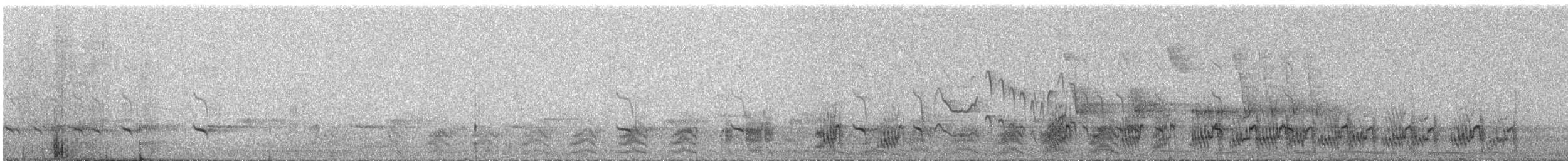 Lilac-crowned Amazon - ML647471922