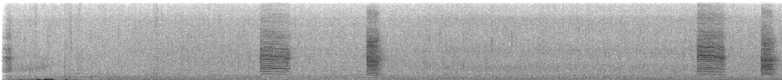 Purplish-backed Jay - ML647472234