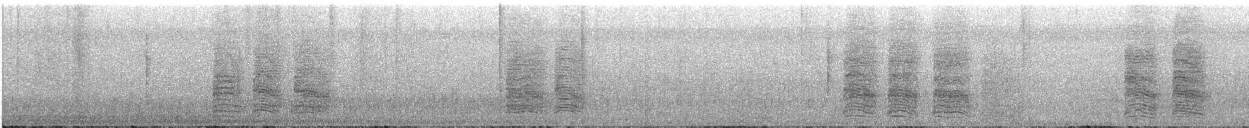 Purplish-backed Jay - ML647472235