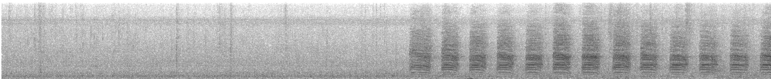 Purplish-backed Jay - ML647472236