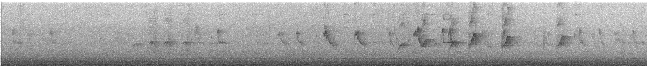 Warbling White-eye - ML647472557