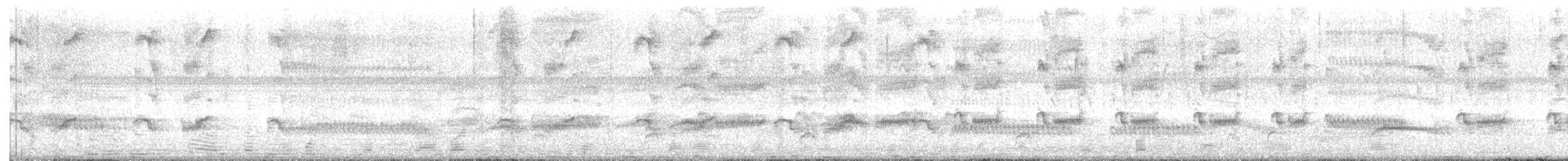 Plumbeous Rail - ML647473046