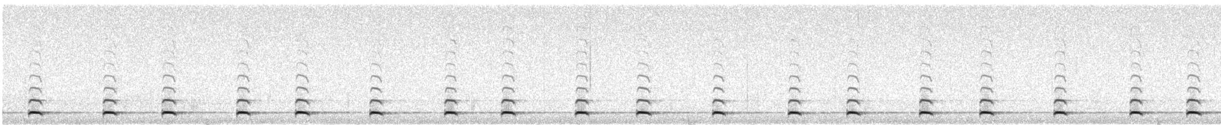 Mochuelo Gnomo (Gnomo) - ML647473891