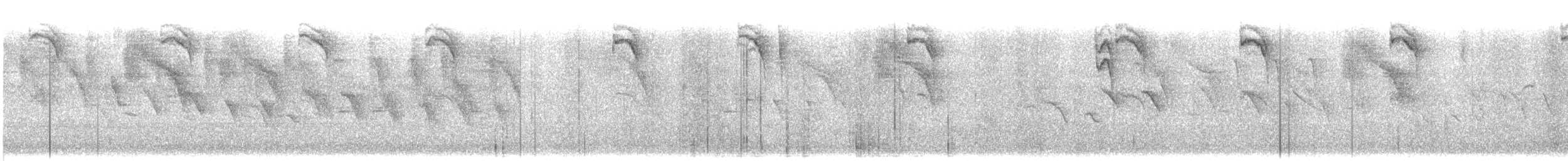 Amazilia Tzacatl - ML647474195