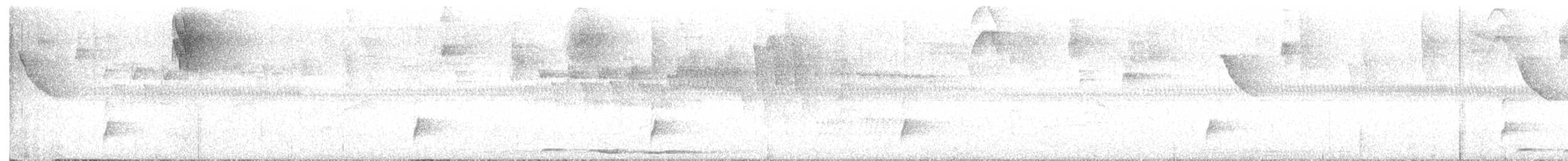 Weintaube - ML647474849