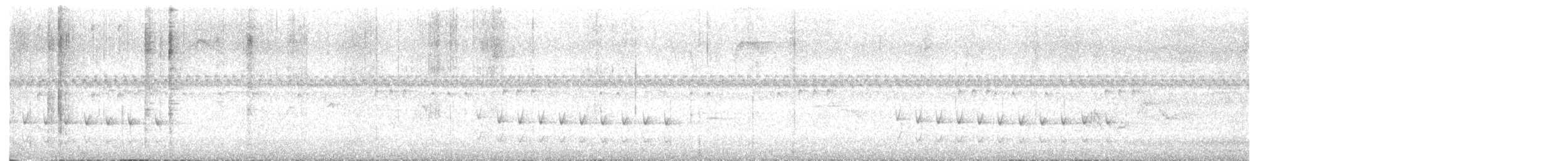 hvitkronetapakulo - ML647474858