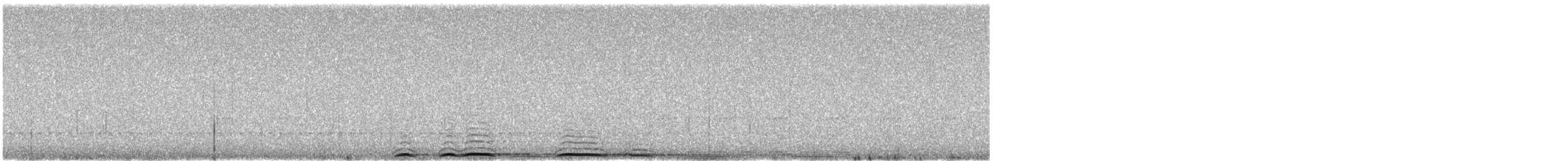 Búho Americano - ML647474964