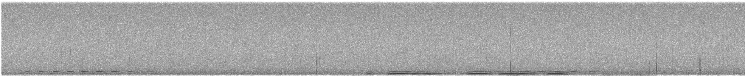 Búho Americano - ML647474965