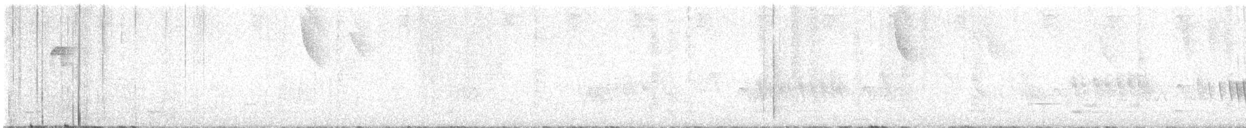 hvitkronefrøeter - ML647475025