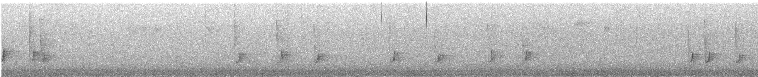 spettmeis - ML647475476