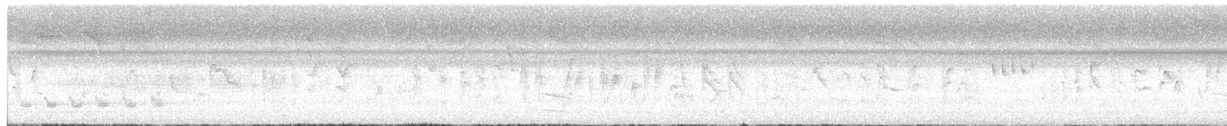 hettesisik - ML647475528