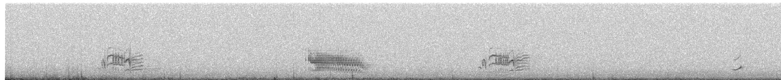 svartsilkefugl - ML647475530