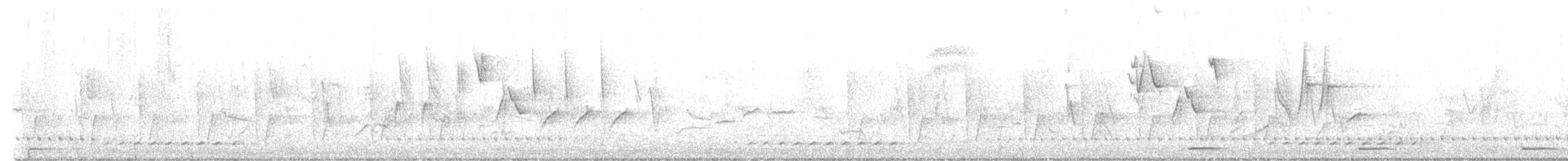 krageskjeggfugl - ML647475796