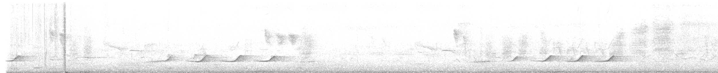 olivenbuskvarsler - ML647475798