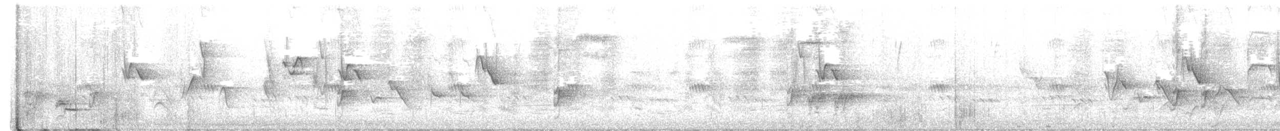 savannedrongo - ML647475807