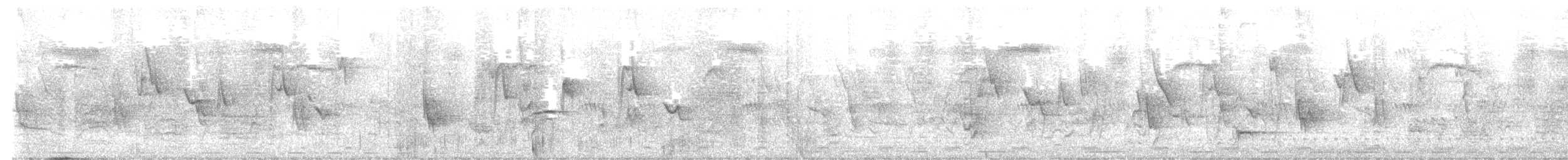 savannedrongo - ML647475808