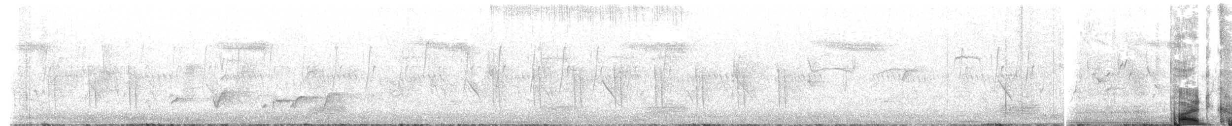 hvitbrystkråke - ML647475883