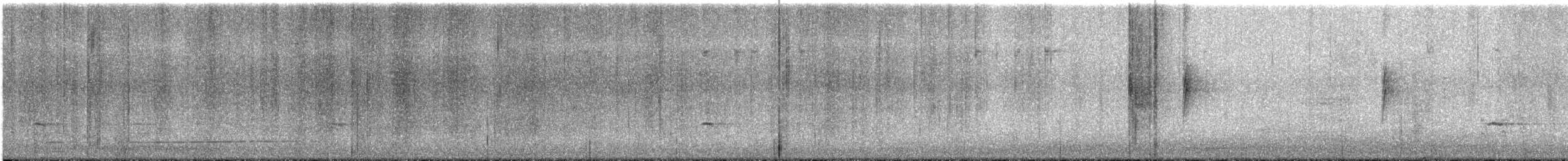 Townsend's Solitaire - ML647476812