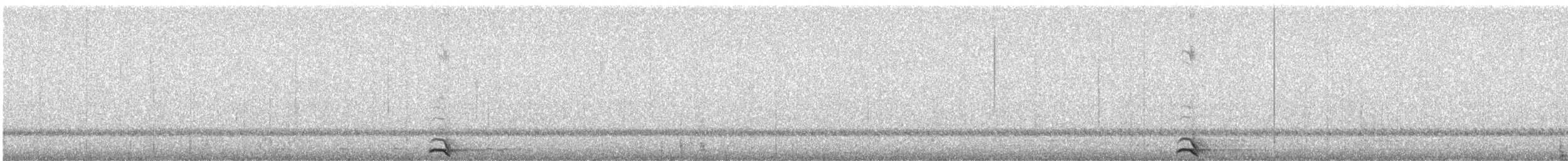 Western Screech-Owl - ML647477374