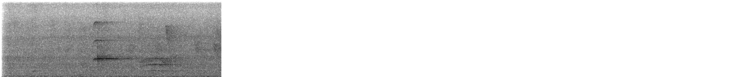 Common Squirrel-Cuckoo - ML647477468