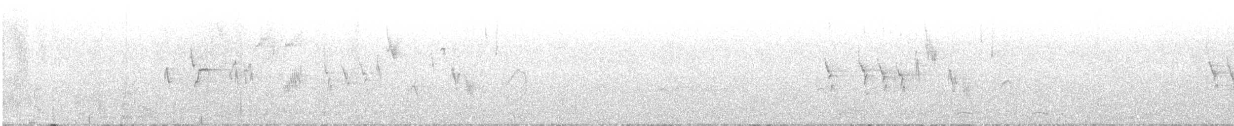 草鵐(ciopsis) - ML647477747