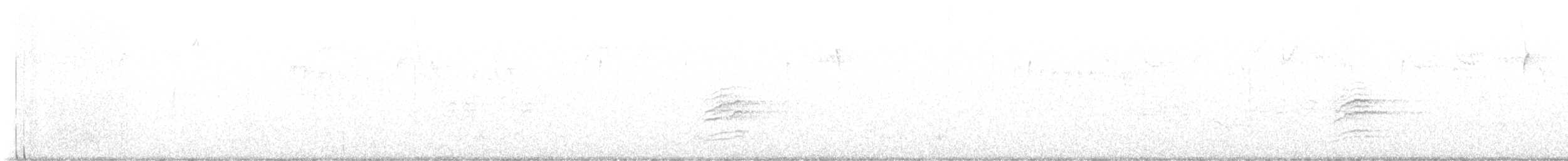 Hermit Thrush - ML647477817