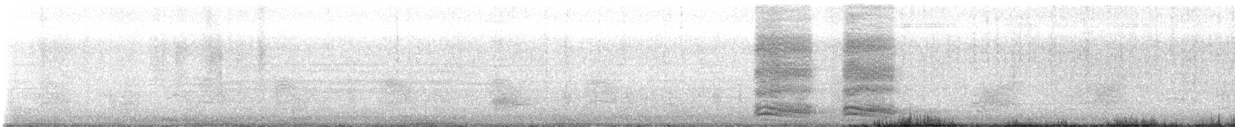 American Crow - ML647478384